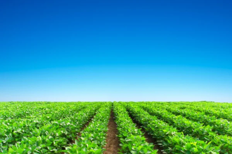 The Significance of Agriculture in Nigeria